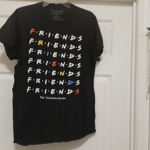 FRIENDS  THE  TELEVISION  SERIES